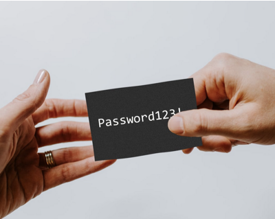 Stop sharing your hosting password with your bookkeeper
